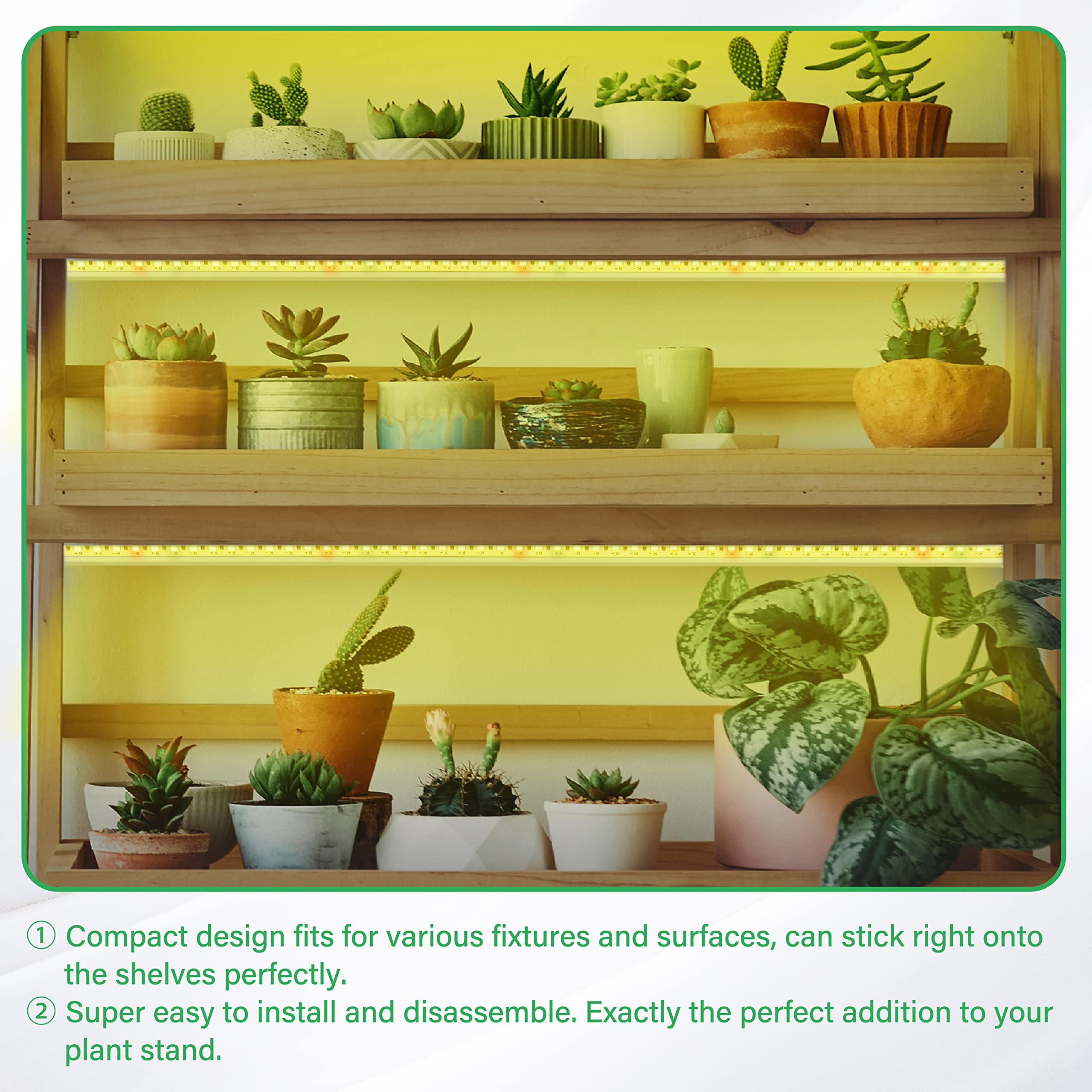 iPower 20W LED Plant Grow Light Strips Full Spectrum for Indoor Plants with Auto ON/Off 3/9/12H Timer, 10 Dimmable Levels 48 LEDs Per Tude, for Hydroponics Succulent, 2 Tubes, Yellow - Image 6