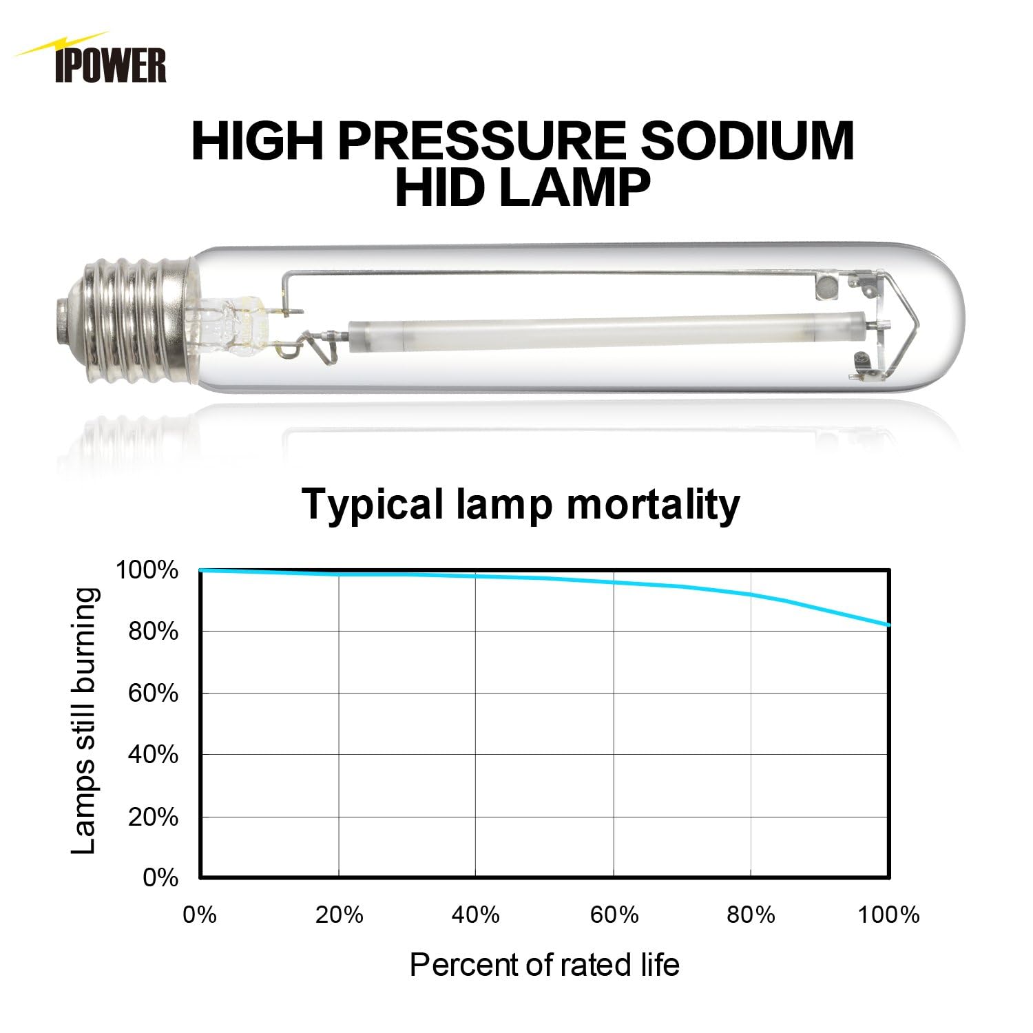 iPower 600W HPS Grow Light Bulb Lamp, Pressure Sodium Bulb Lamp with High PAR Enhanced Red and Orange Spectrums for Plants Growth, CCT 2100K - Image 4