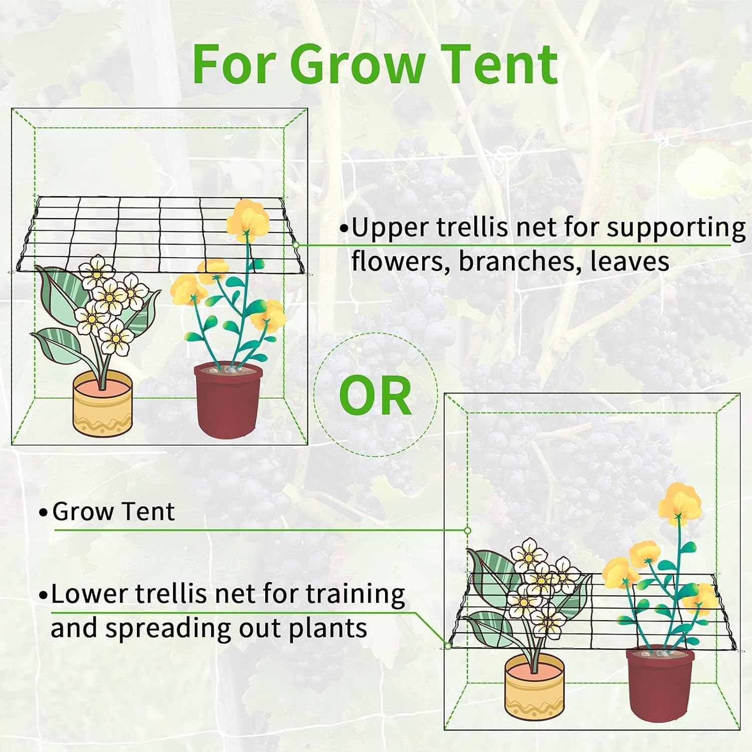iPower 4x4FT Flexible Elastic Trellis Netting with Hooks Tent Grow Room, Flowers, Vegetables, Climbing Plants Support, 4' x 4', White - Image 6