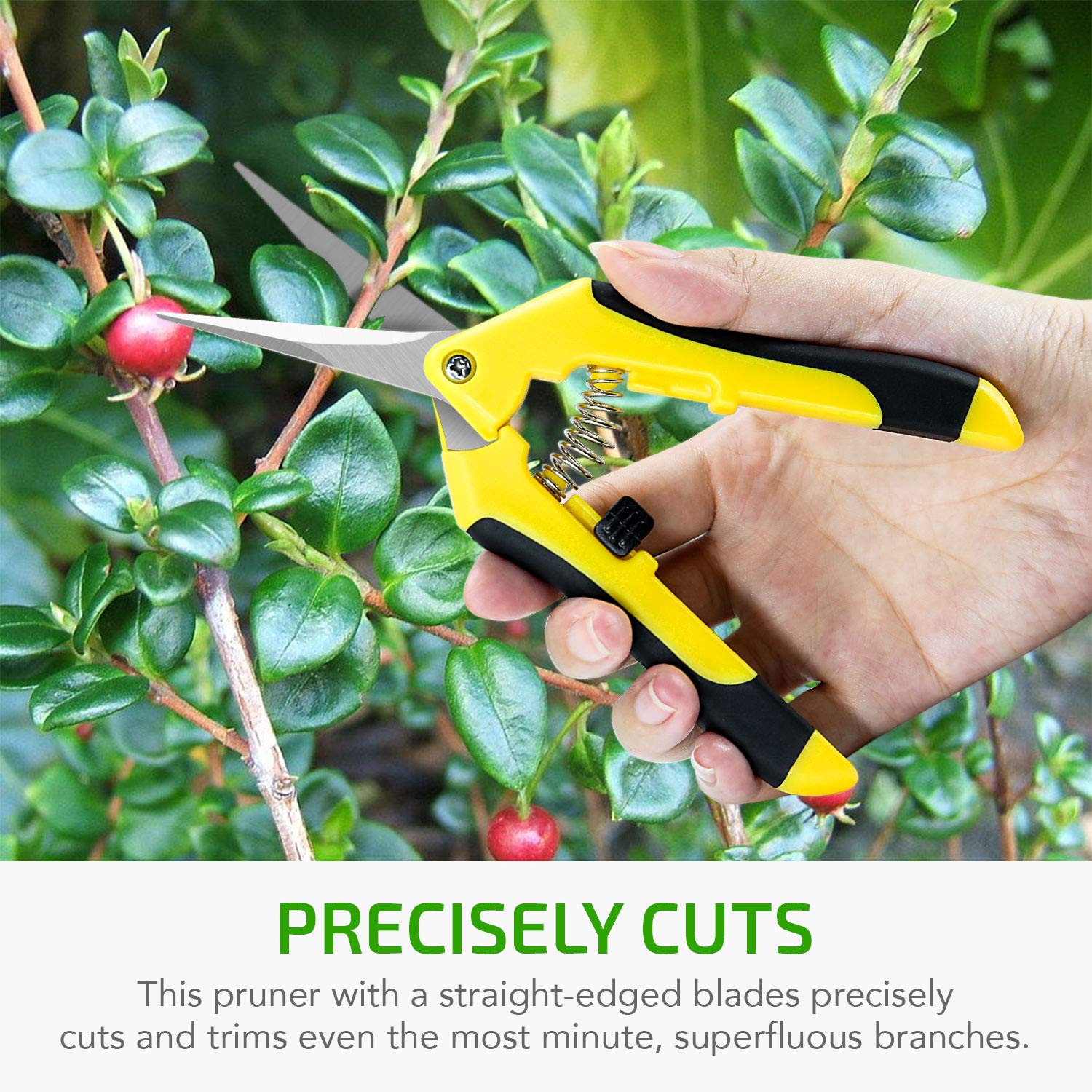 iPower 6.5 inch Pruning Shears for Gardening Trimming Scissors, Hand Pruner, Stainless Steel, Yellow - Image 3